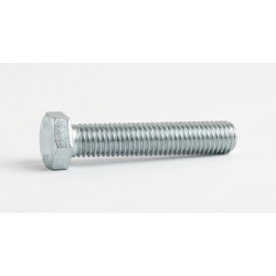 Śruba 16 x 50 kl. 88 82105...